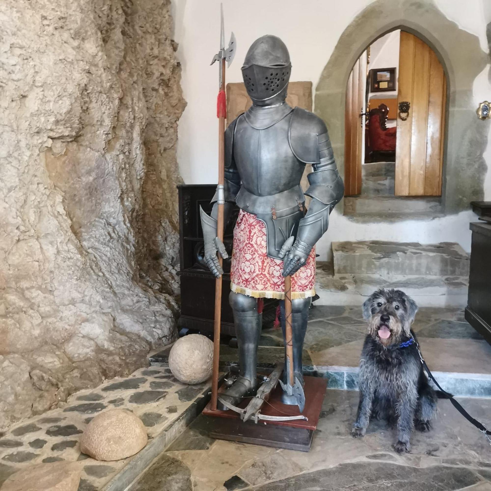 Burg Hermannstein - Monks Room Wetzlar Exteriér fotografie